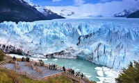 Calafate
